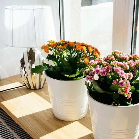 Elforma Apartament * Sopot